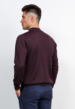 Джемпер мужской GREG G122-AN241944А (шоколад)  фото 3