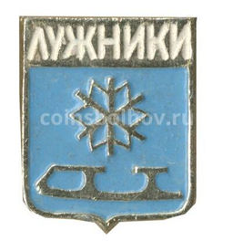 Значок Лужники