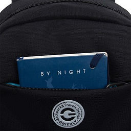 RG-464-3f Рюкзак школьный - Grizzly фото 23