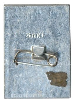 Значок Общество охраны памятников истории и культуры РСФСР