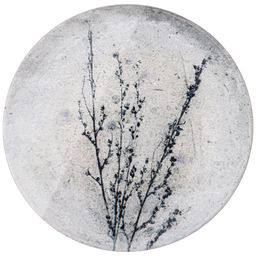 ТАРЕЛКА ДЕСЕРТНАЯ PROVENCE 20СМ БЕЗ УПАК.