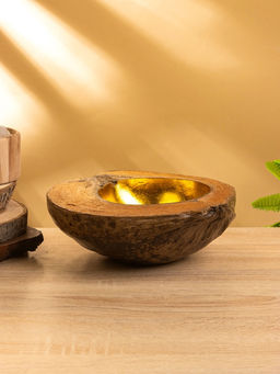 Чаша из кокоса, 22×24.5×9 см, коричнево-золотая