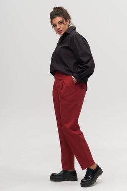 Брюки ANELLI 895 брусника