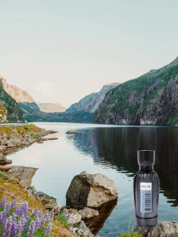Dilis Парфюмерная вода для женщин Essence of the World Scandinavia 60 мл  фото 5