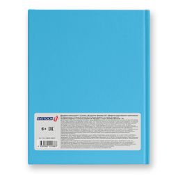 Светоч Дневник школьный 1-4 класс, матовая ламинация, A5+ 48 л. 12 шт. твердый переплет 60 г/кв.м Дневник российского школьника 48ДТ5_ 000037 фото 3