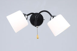 Бра Еврокаркас BS-001513-2BK