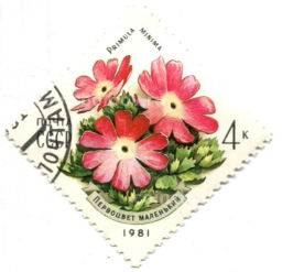 Марка Первоцвет маленький 1981 год