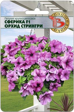 Петуния крупноцветковая Сферика F1 Орхид Стрингри