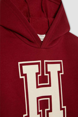 Толстая толстовка с капюшоном и принтом для мальчиков - Defacto фото 7