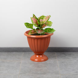 Вазон Жасмин 12л (коричневый) М1557 - Альтернатива фото 6