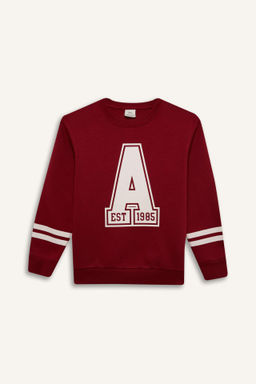 Erkek Cocuk Bisiklet Yaka Bask?l? Kal?n Sweatshirt - Defacto фото 2