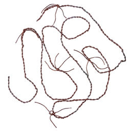 Прикол «Колючая проволока», 2.5 м