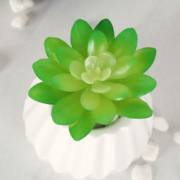 Суккулент искусственный 7х6 см / GN108 /уп 200/ - Галеонтрейд фото 4