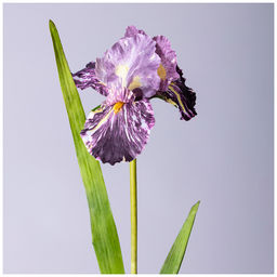 ЦВЕТОК ИСКУССТВЕННЫЙ ИРИС ВЫСОТА=90 СМ.
