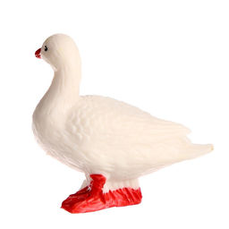 Обучающий набор Этапы развития гуся 4 фигурки - Simaland фото 7