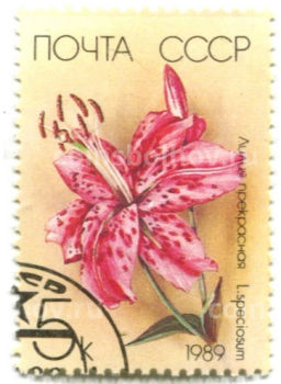 Марка Лилия прекрасная 1989 год