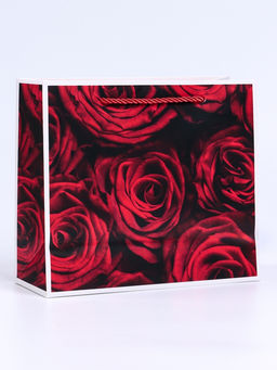 Цена за 2 шт. Пакет подарочный с окном Розы, 25?10?22 см