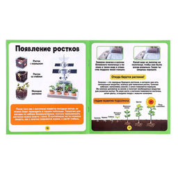 Набор для опытов «Моя мини-ферма», выращивание растений, в космосе