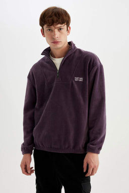 Флисовый свитшот с принтом и воротником-стойкой Comfort Regular Fit