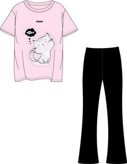 футболка+брюки 2ДФБ5915023