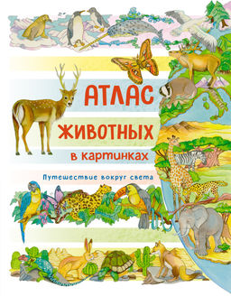 Атлас животных в картинках. Путешествие вокруг света. Барсотти Э.