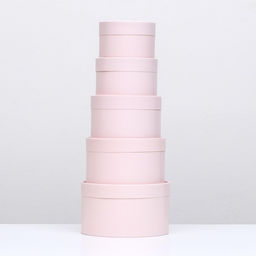 Набор шляпных коробок 5 в 1,Пастельный 20 х 12,18 х 11,16 х 10,14 х 9,13 х 8,5 см - Simaland фото 7