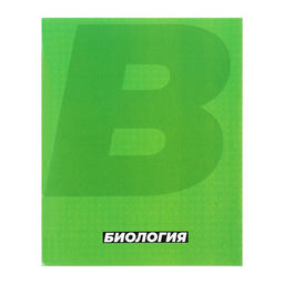 Набор предметных тетрадей Calligrata. MonoTone, 10 предметов, 36 листов, со справочным материалом, серые листы, обложка из мелованной бумаги