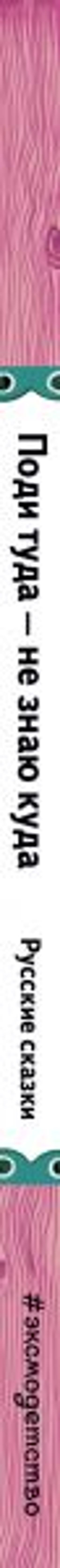 Поди туда - не знаю куда (ил. Ек. и Ел. Здорновых)