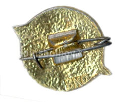 Значок СО Юность Москвы