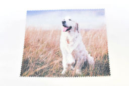 САЛФЕТКА ДЛЯ ОЧКОВ С РИСУНКОМ №111