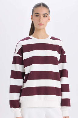 Relax Fit Bisiklet Yaka Cizgili Kal?n Sweatshirt - Defacto фото 2
