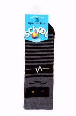 Цена за 2 шт. Носки для мальчика Брестские  фото 3