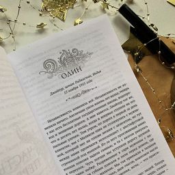 Художница из Джайпура