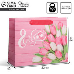 Цена за 2 шт. Пакет подарочный ламинированный, упаковка, «8 марта», MS 23×18×10 см