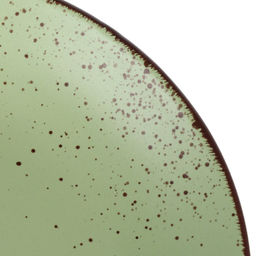 OH!SPLASH Тарелка обеденная 24см., зеленый арт. DMD171