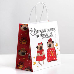 Пакет подарочный новогодний «Ты - лучший подарок», 22×22×11 см
