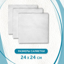 Салфетки БЕЛЫЙ КОТ 24х24см уп.50шт Белые