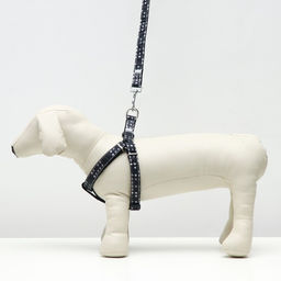 Комплект амуниции двухслойный, размер L, поводок 120 х 2 см, ОШ 31-45, ОГ 35-52 см, звёзды - Пижон фото 6