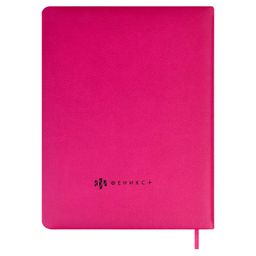 Дневник школьный арт. 58704 / 15 КОТ - Феникс+ фото 2