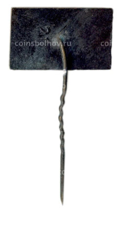 Значок Вильнюс