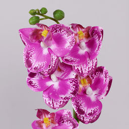 Цветочная композиция Орхидея 30 см / LM-17105 /уп 144/ - Галеонтрейд фото 4