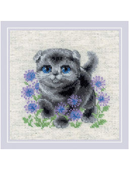 2120 Вислоухий котёнок