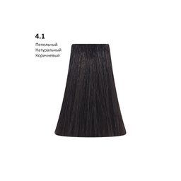 4.1 Ash Natural пепельный натуральный коричневый, 100 мл - Picasso фото 2