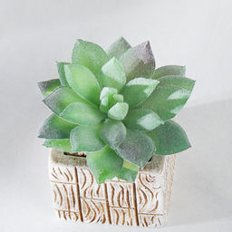 Цветочная композиция Кактус / WER-15 /уп 12/288/ микс - Галеонтрейд фото 14