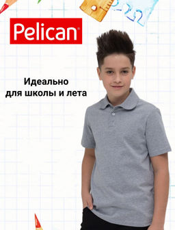 PELICAN, джемпер (модель футболка) для мальчиков, Серый