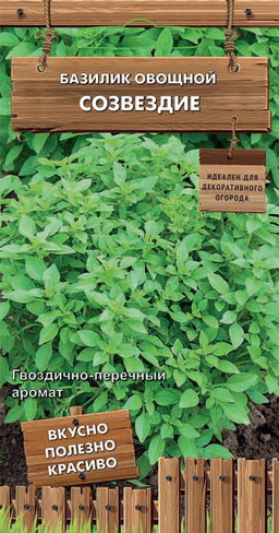 Базилик овощной Созвездие (сер.Декоративный огород) (А) (ЦВ) 0,1гр - Поиск фото 2