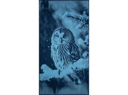 Полотенце махровое 6с102.413ж1 Фото-сова(джинс) 81х160см