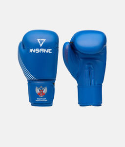 Перчатки боксерские INSANE RBF IN25-BG600, синий, 10 oz