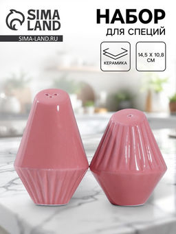 Солонка и перечница «Геометрия», 14.5×10.8 см, розовые