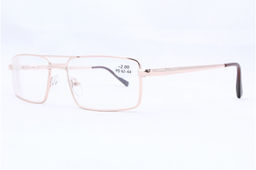 Готовые очки SALYRA 002/ 8002/DISCOVEVER 5098 золотые